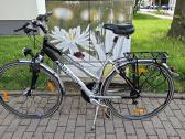 Dviratis Pegasus Solero 28"