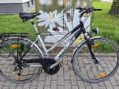 Dviratis Pegasus Solero 28" - nuotraukos Nr. 2