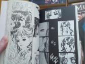 Manga - nuotraukos Nr. 2