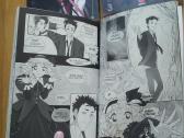 Manga - nuotraukos Nr. 3