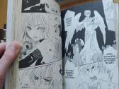 Manga - nuotraukos Nr. 4