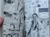 Manga - nuotraukos Nr. 5