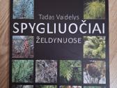 Spygliuočiai želdynuose