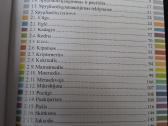 Spygliuočiai želdynuose - nuotraukos Nr. 2