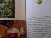 Nuodingieji augalai šalia mūsų - nuotraukos Nr. 8