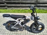Electric fatbike