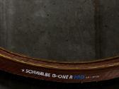 Schwalbe G-one R Pro Tlr 45-622 - nuotraukos Nr. 2