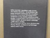 Džili Kuper-imodžinė - nuotraukos Nr. 2