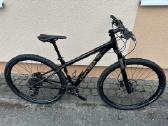 Univega 29er, Cube Ltd Race 29er
