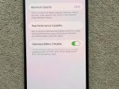 iPhone 13 Pro Max 256 GB Sierra Blue - nuotraukos Nr. 6