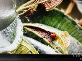 Monitorius Iiyama Prolite E2202ws Stereo gar-liai - nuotraukos Nr. 2