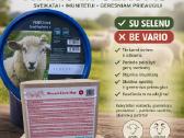 Kombinuoti pašarai Deheus, papildai, įranga. - nuotraukos Nr. 18