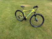 Bulls 29er XL