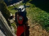 Dafier Ghost 50