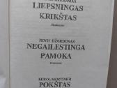 Užsienio rašytojų meilės romanai - nuotraukos Nr. 2