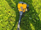 Trimeris