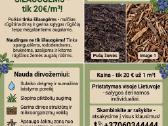 Pušų žievės mulčias Šilauogėms – tik 20€/m³!