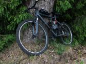 Motorinis dviratis 100cc