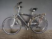 Gazelle Medeo