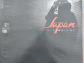 Keletas Lp Pop Rock ir .