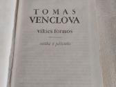 Vilties formos - nuotraukos Nr. 2