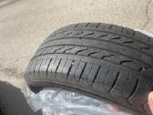 195/55/r15 padangos