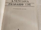 Pavasario upė - nuotraukos Nr. 2