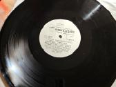 Vinilai - nuotraukos Nr. 5
