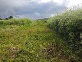 Žolės pjovimas Šiauliuose, Šiaulių raj. - nuotraukos Nr. 23