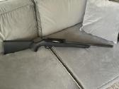 Remington 597 Magnum .22 Wrm