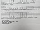 Parduodami 2 miškai Rokiškio raj., Šetekšnių km. - nuotraukos Nr. 4
