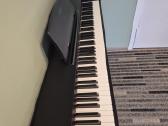 Skaitmeninis pianinas Casio Px-770bk
