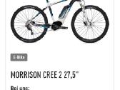 Elektrinis dviratis Bosch Morrisson Cree 2, 14 A