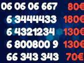 Gražus VIP numeris 3333 4444 800800