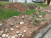 Dovanojam žemes - nuotraukos Nr. 2