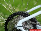 Naujas 29 Rock Machine 1x8 baltas L ir XL - nuotraukos Nr. 12