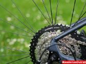 Naujas 29 Rock Machine mėlynas 1x8 L ir XL - nuotraukos Nr. 11