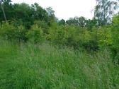 Parduodamas sodo sklypas - nuotraukos Nr. 4