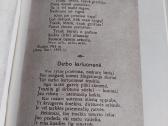 Vaidilos Ainio eilės - nuotraukos Nr. 4