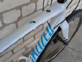Specialized - nuotraukos Nr. 10