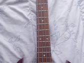 Epiphone Eb-0 bosinė gitara - nuotraukos Nr. 5