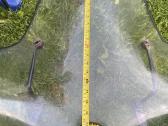 Parduodamas buvo ant keturacio geros bukles - nuotraukos Nr. 4