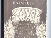 Piemenuk ir elfų karalius, Šaltoji širdis. Trys ge - nuotraukos Nr. 2