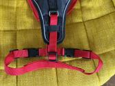 Antsnukiai, petnešos, pavadžiai įvairiems šunims