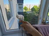 Nimfos su narvu ir priedais