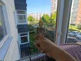 Nimfos su narvu ir priedais - nuotraukos Nr. 2