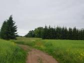 Parduodu sodyba,juodaiciai,misiunu km. 9,5ha - nuotraukos Nr. 5