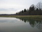 Parduodu sodyba,juodaiciai,misiunu km. 9,5ha - nuotraukos Nr. 9