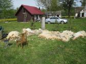 Parduodu sodyba,juodaiciai,misiunu km. 9,5ha - nuotraukos Nr. 14