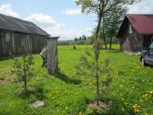 Parduodu sodyba,juodaiciai,misiunu km. 9,5ha - nuotraukos Nr. 17